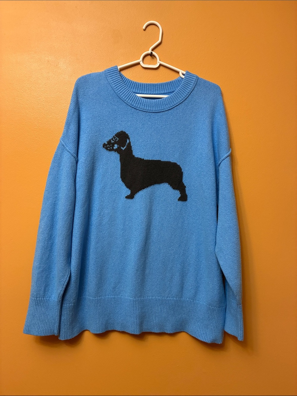 Aerie softest luxe crew sweater. Size M women’s. Excellent condition.